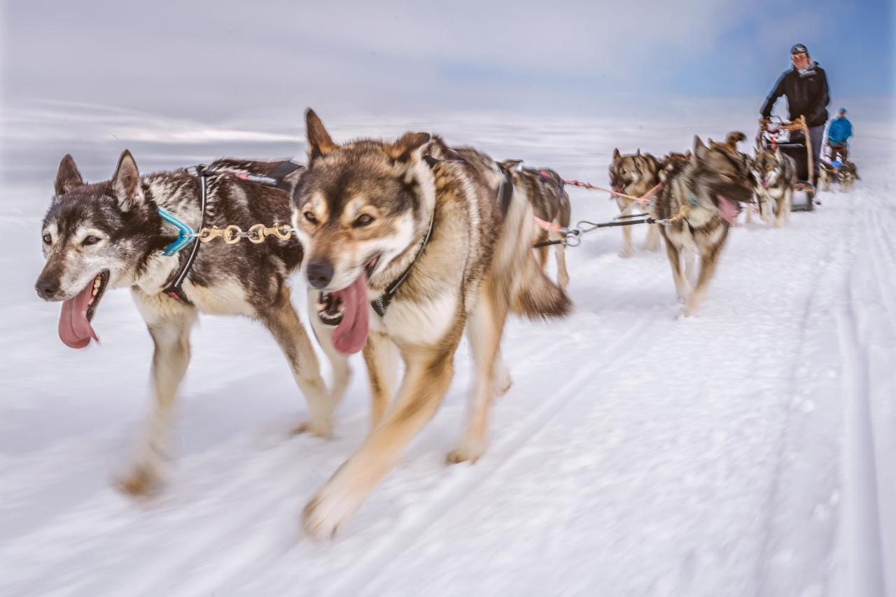 Harriniva Adventure Resort Muonio Bagian luar foto
