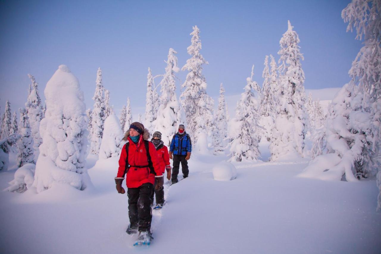 Harriniva Adventure Resort Muonio Bagian luar foto