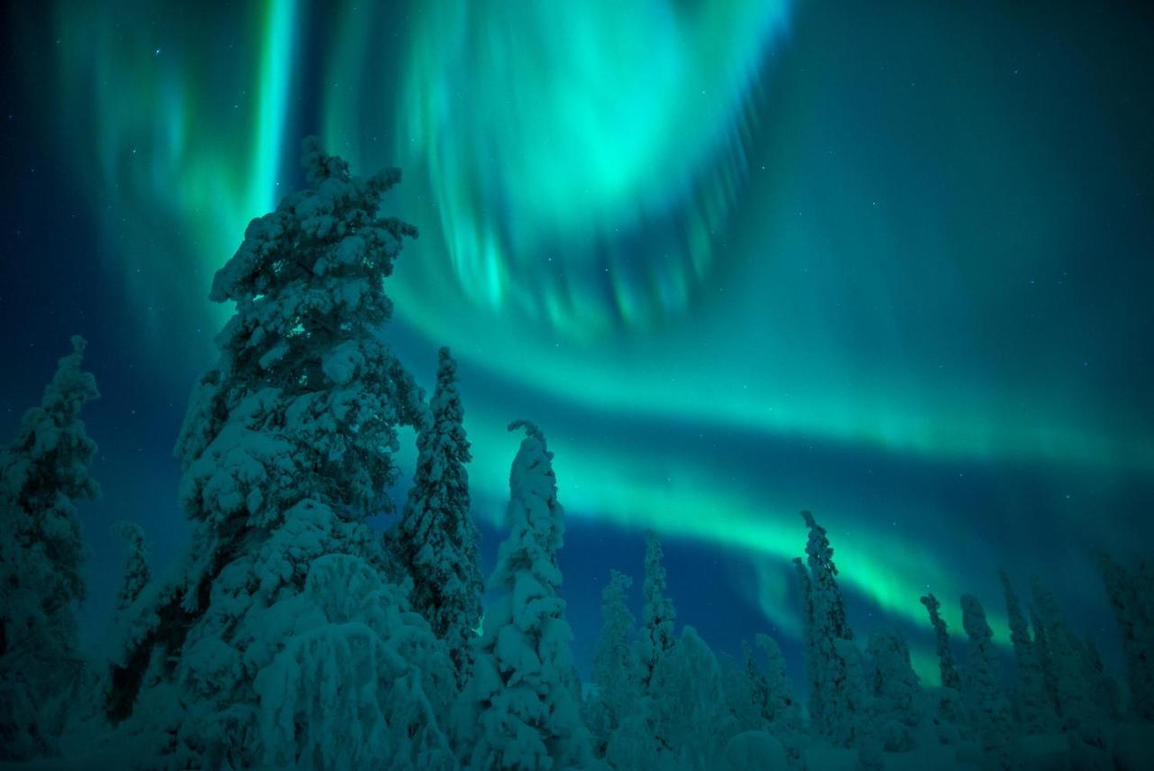 Harriniva Adventure Resort Muonio Bagian luar foto