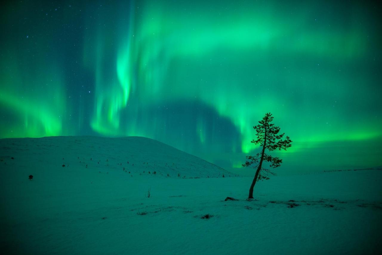 Harriniva Adventure Resort Muonio Bagian luar foto